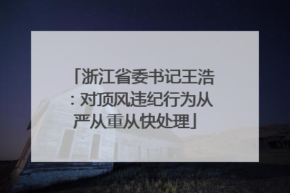浙江省委书记王浩：对顶风违纪行为从严从重从快处理