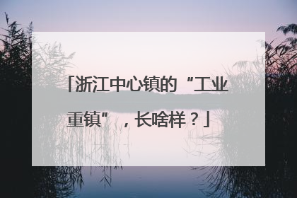 浙江中心镇的“工业重镇”，长啥样？