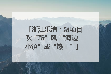 浙江乐清：聚项目吹“新”风 “海边小镇”成“热土”