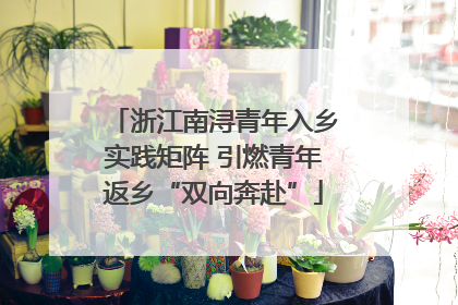 浙江南浔青年入乡实践矩阵 引燃青年返乡“双向奔赴”