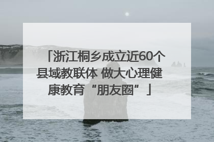 浙江桐乡成立近60个县域教联体 做大心理健康教育“朋友圈”