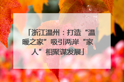 浙江温州：打造“温暖之家”吸引两岸“家人”相聚谋发展