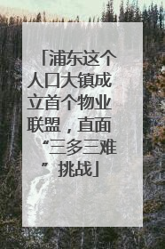 浦东这个人口大镇成立首个物业联盟，直面“三多三难”挑战