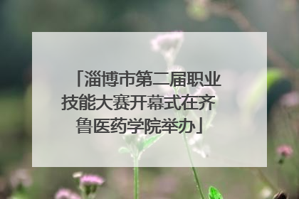 淄博市第二届职业技能大赛开幕式在齐鲁医药学院举办