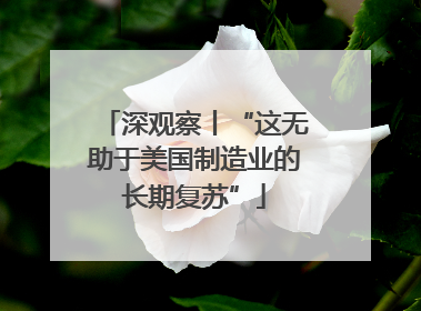 深观察丨“这无助于美国制造业的长期复苏”