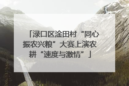 渌口区淦田村“同心振农兴粮”大赛上演农耕“速度与激情”
