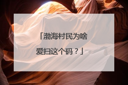 渤海村民为啥爱扫这个码？