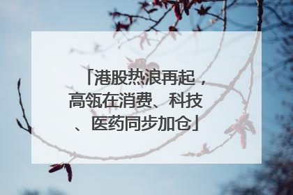 港股热浪再起，高瓴在消费、科技、医药同步加仓