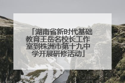 湖南省新时代基础教育王岳名校长工作室到株洲市第十九中学开展研修活动