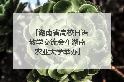湖南省高校日语教学交流会在湖南农业大学举办