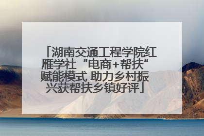 湖南交通工程学院红雁学社“电商+帮扶”赋能模式 助力乡村振兴获帮扶乡镇好评