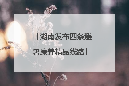 湖南发布四条避暑康养精品线路