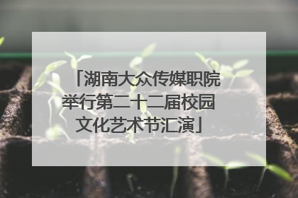 湖南大众传媒职院举行第二十二届校园文化艺术节汇演