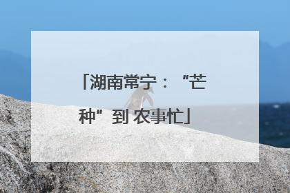 湖南常宁：“芒种”到 农事忙