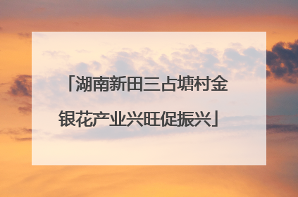 湖南新田三占塘村金银花产业兴旺促振兴