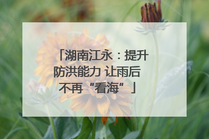 湖南江永：提升防洪能力 让雨后不再“看海”