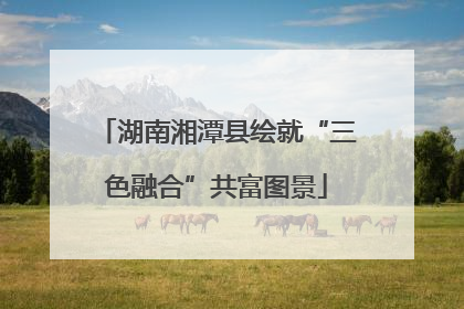 湖南湘潭县绘就“三色融合”共富图景