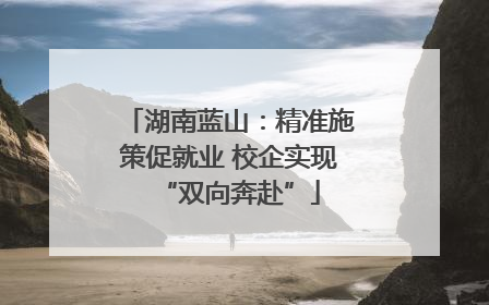 湖南蓝山：精准施策促就业 校企实现“双向奔赴”