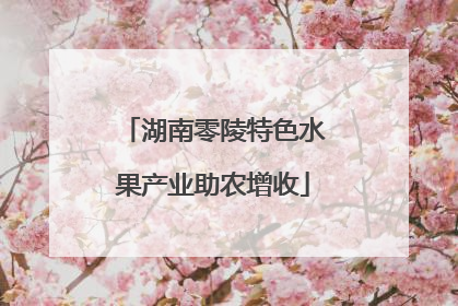 湖南零陵特色水果产业助农增收
