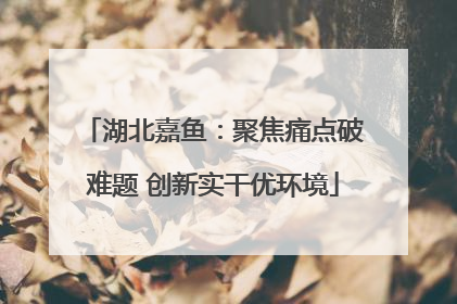 湖北嘉鱼：聚焦痛点破难题 创新实干优环境