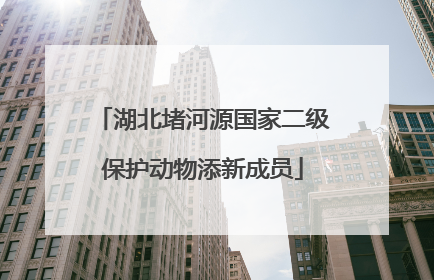湖北堵河源国家二级保护动物添新成员