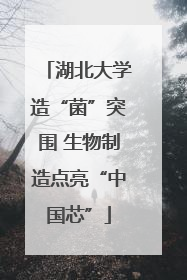 湖北大学造“菌”突围 生物制造点亮“中国芯”