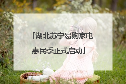 湖北苏宁易购家电惠民季正式启动
