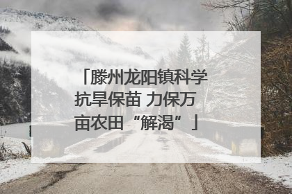 滕州龙阳镇科学抗旱保苗 力保万亩农田“解渴”