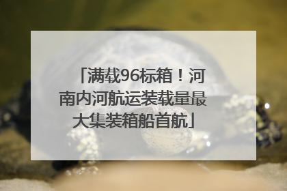 满载96标箱！河南内河航运装载量最大集装箱船首航