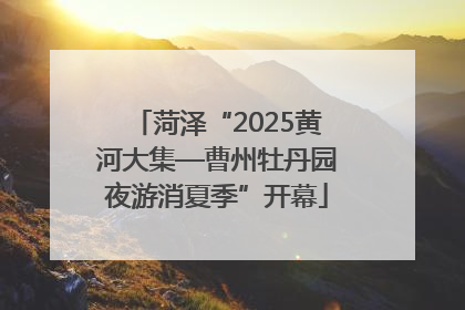 菏泽“2025黄河大集—曹州牡丹园夜游消夏季”开幕