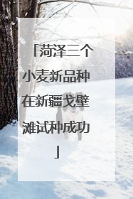 菏泽三个小麦新品种在新疆戈壁滩试种成功