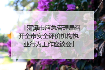 菏泽市应急管理局召开全市安全评价机构执业行为工作座谈会
