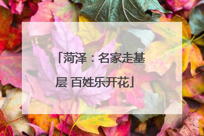 菏泽：名家走基层 百姓乐开花