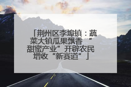 荆州区李埠镇：蔬菜大镇瓜果飘香 “甜蜜产业”开辟农民增收“新赛道”
