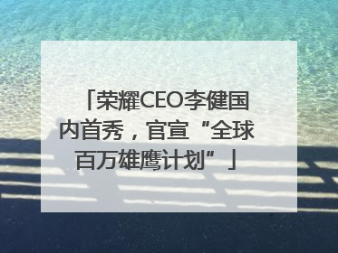 荣耀CEO李健国内首秀，官宣“全球百万雄鹰计划”