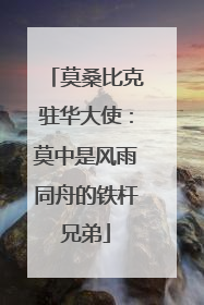 莫桑比克驻华大使：莫中是风雨同舟的铁杆兄弟