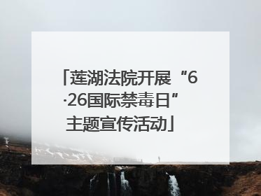 莲湖法院开展“6·26国际禁毒日”主题宣传活动