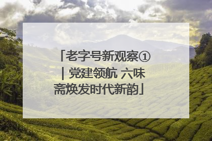 老字号新观察①｜党建领航 六味斋焕发时代新韵