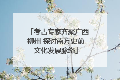 考古专家齐聚广西柳州 探讨南方史前文化发展脉络