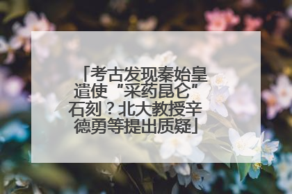 考古发现秦始皇遣使“采药昆仑”石刻？北大教授辛德勇等提出质疑