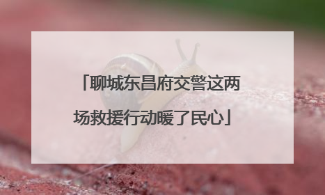 聊城东昌府交警这两场救援行动暖了民心