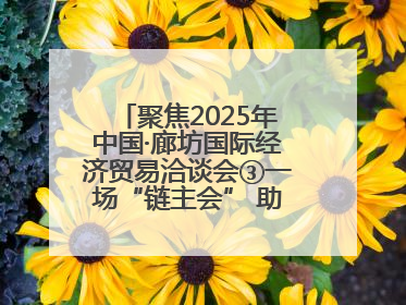 聚焦2025年中国·廊坊国际经济贸易洽谈会③一场“链主会” 助力厂商破圈发展
