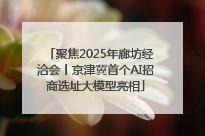 聚焦2025年廊坊经洽会丨京津冀首个AI招商选址大模型亮相