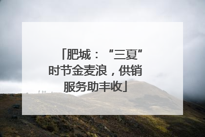肥城：“三夏”时节金麦浪，供销服务助丰收