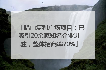 腊山复利广场项目：已吸引20余家知名企业进驻，整体招商率70%