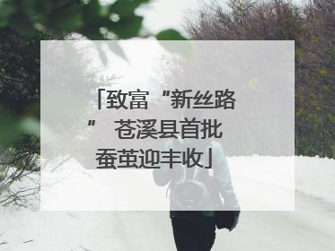 致富“新丝路” 苍溪县首批蚕茧迎丰收