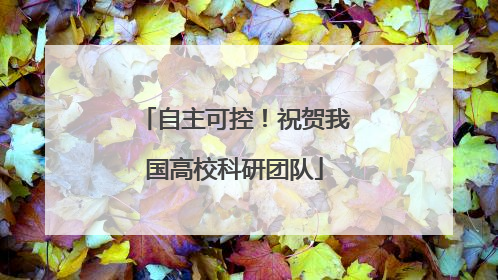 自主可控！祝贺我国高校科研团队