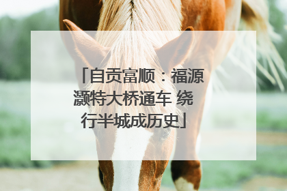 自贡富顺：福源灏特大桥通车 绕行半城成历史