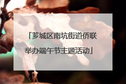 芗城区南坑街道侨联举办端午节主题活动
