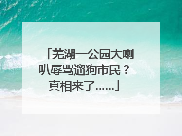 芜湖一公园大喇叭辱骂遛狗市民？真相来了……